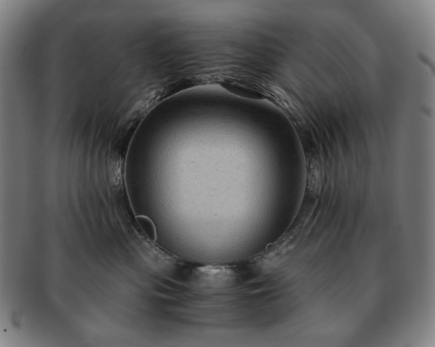 X0000091480477200708231404