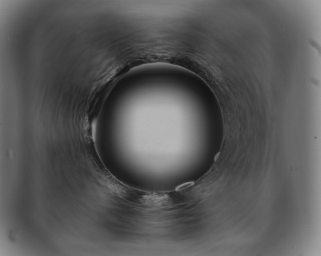 X0000091480480200708231404