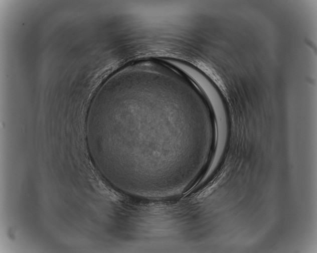 X0000091480481200708231403