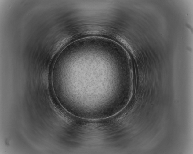 X0000091480482200708231403