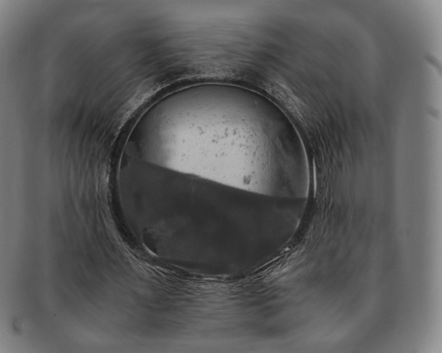 X0000091480483200708231403