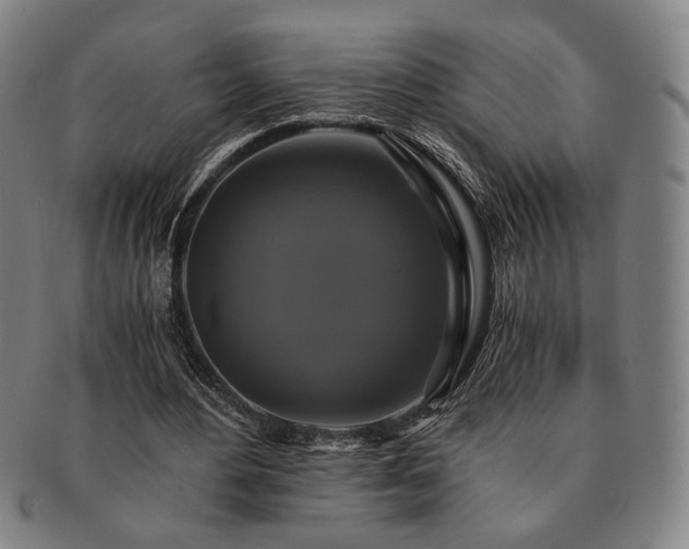 X0000091480484200708231403