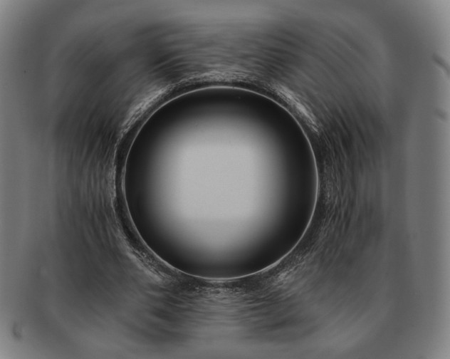 X0000091480486200708231403