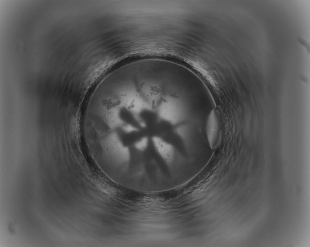 X0000091480487200708231403