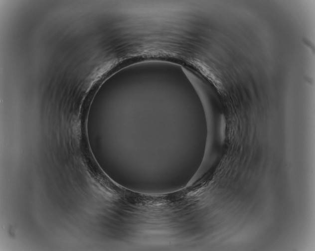 X0000091480488200708231403