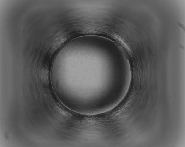 X0000091480489200708231403