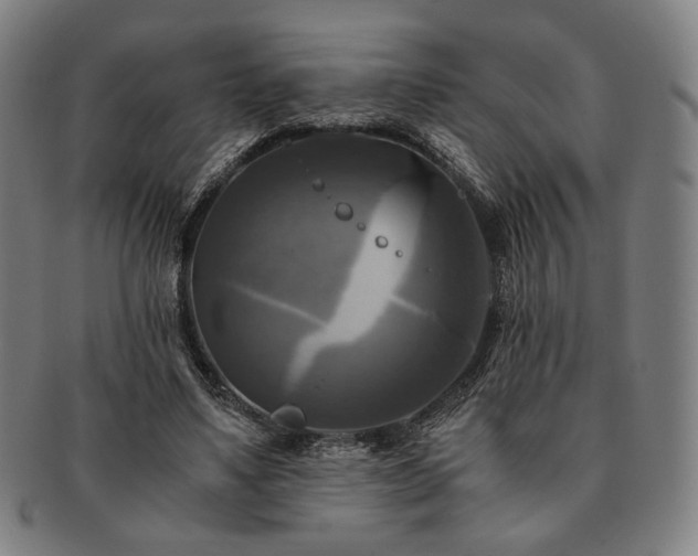 X0000091480491200708231403