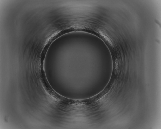 X0000091480492200708231403