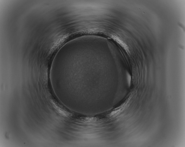 X0000091480493200708231403