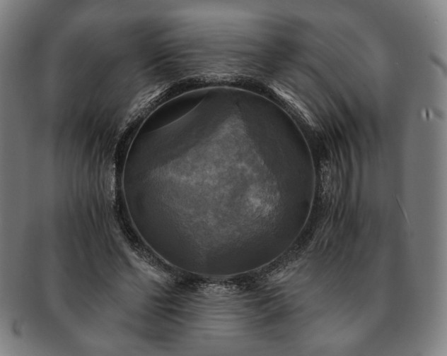 X0000091480494200708231403