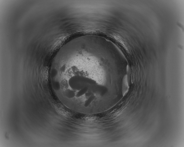 X0000091480495200708231403