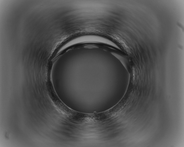 X0000091480496200708231403