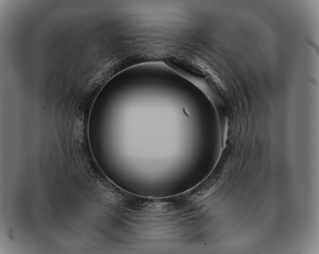 X0000091480497200708231403