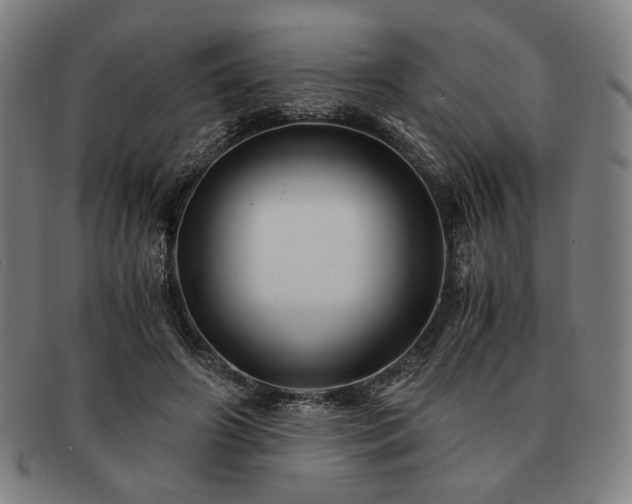 X0000091480498200708231403