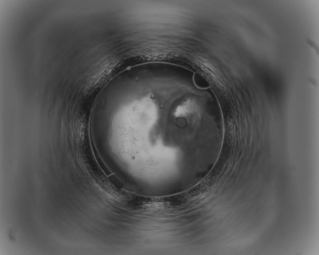 X0000091480499200708231403