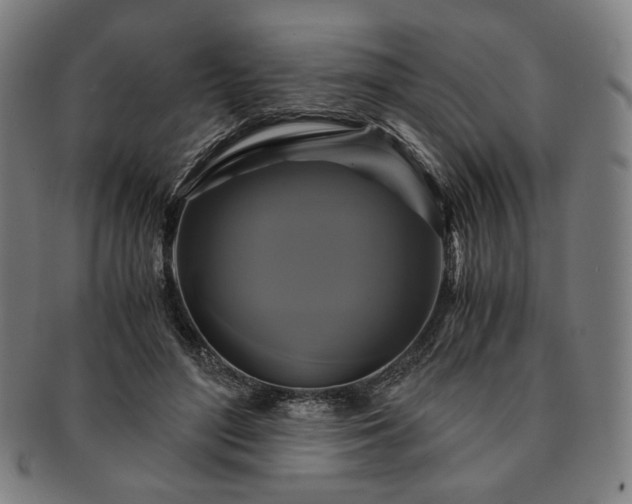 X0000091480500200708231403