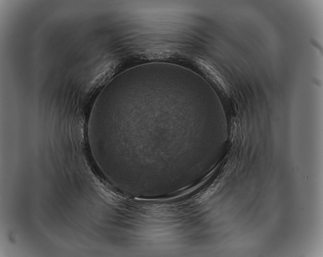 X0000091480501200708231403