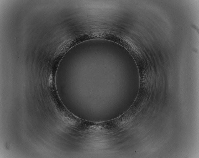 X0000091480502200708231403