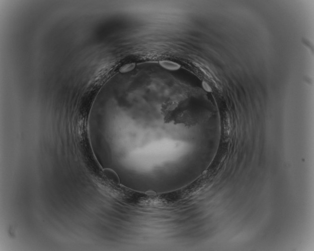 X0000091480503200708231403