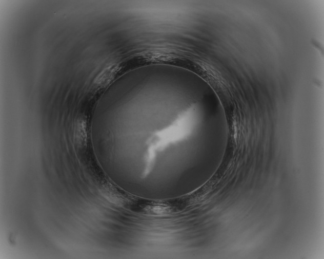 X0000091480506200708231403