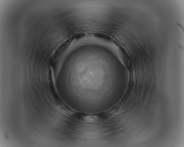 X0000091480508200708231403