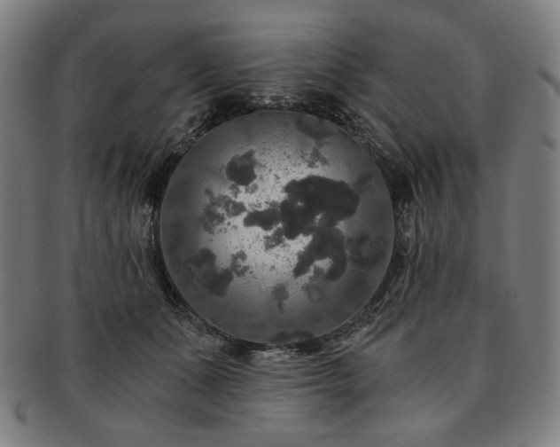 X0000091480511200708231403