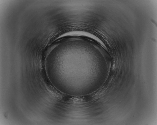 X0000091480512200708231403