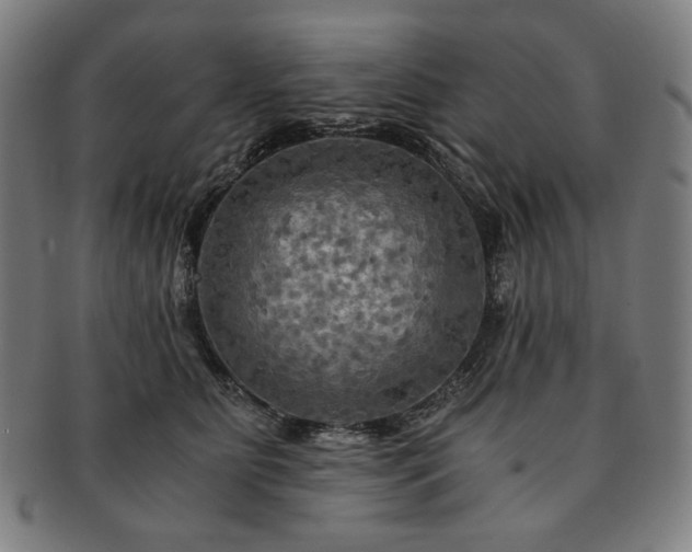 X0000091480515200708231403