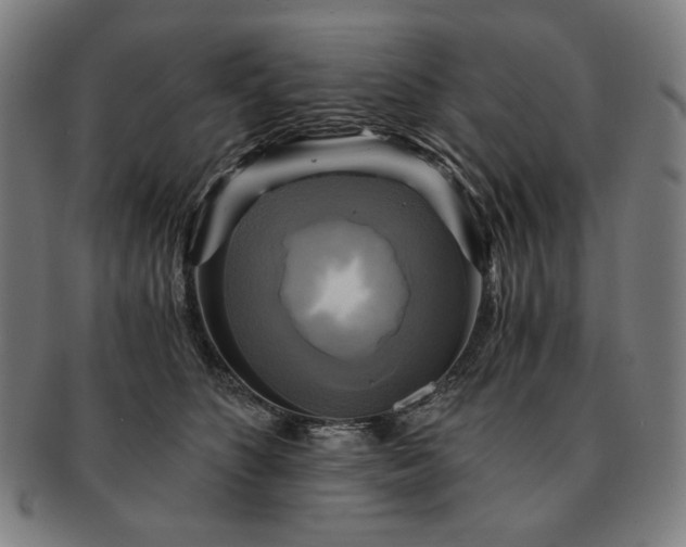 X0000091480516200708231403