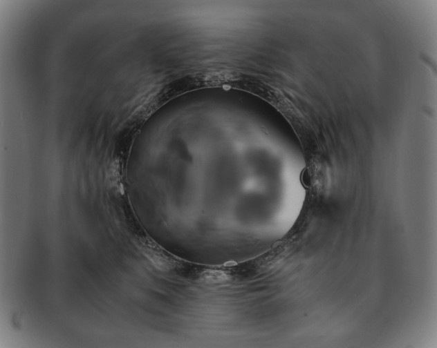 X0000091480519200708231403