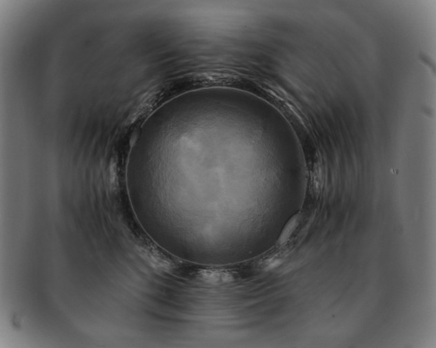 X0000091480520200708231403