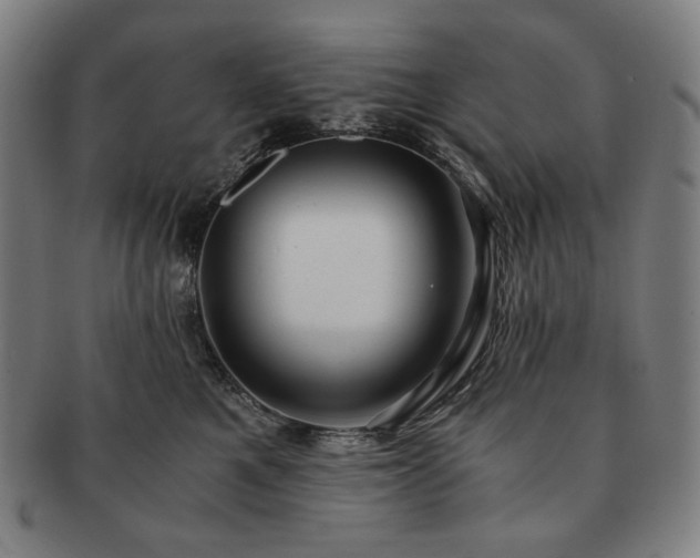 X0000091480521200708231403