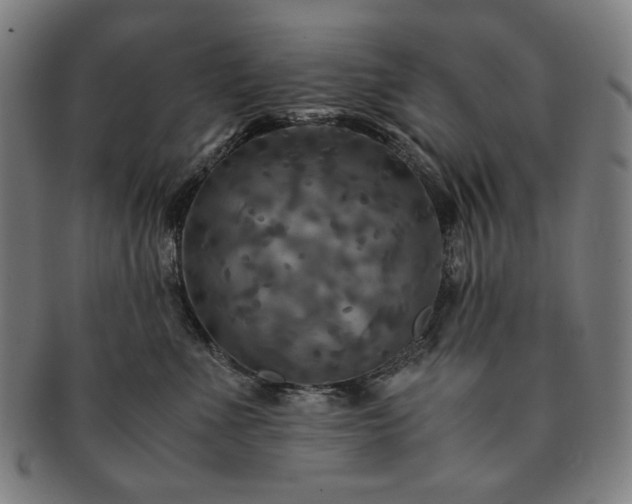 X0000091480523200708231403