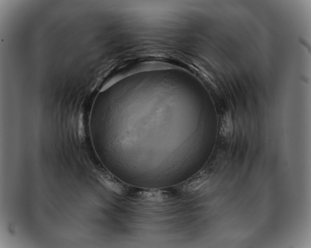 X0000091480524200708231403