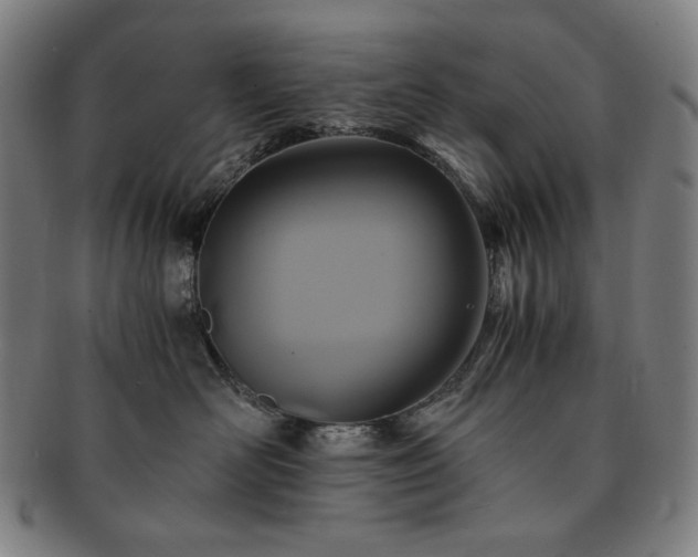 X0000091480526200708231403