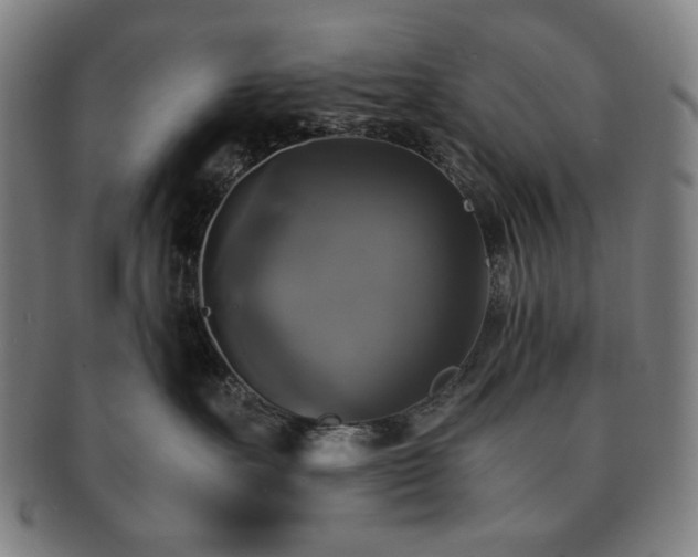 X0000091480527200708231403