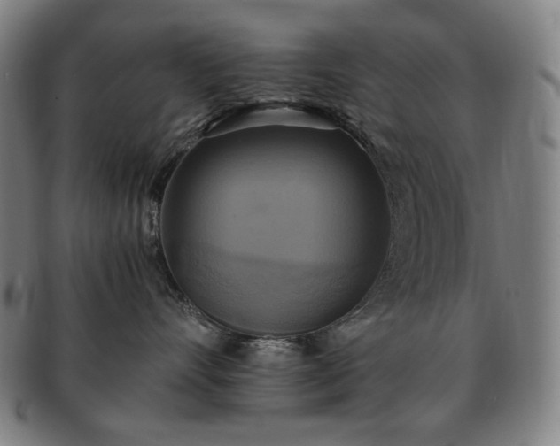 X0000091480528200708231403