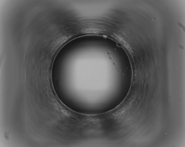 X0000091480529200708231402