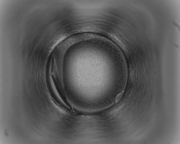 X0000091480530200708231402