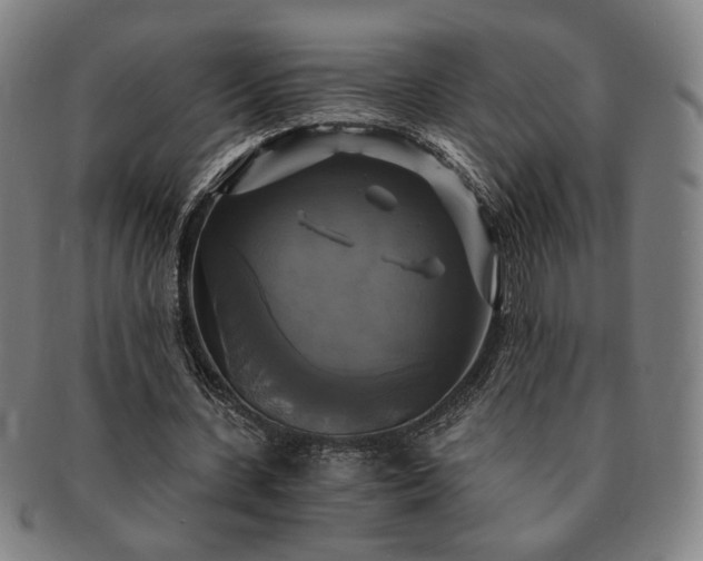 X0000091480531200708231402