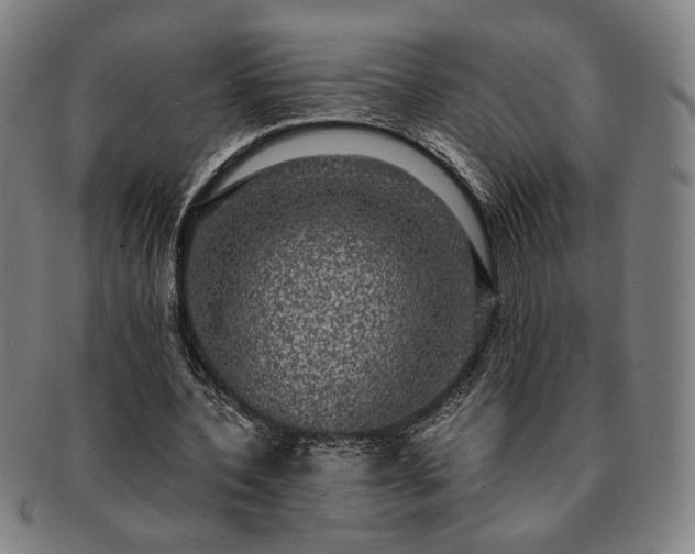 X0000091480532200708231402