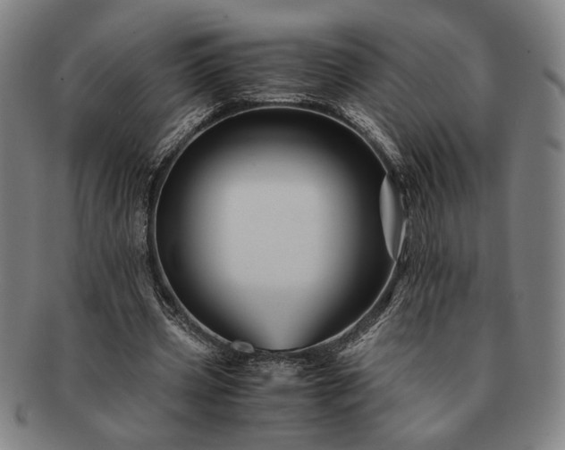 X0000091480533200708231402