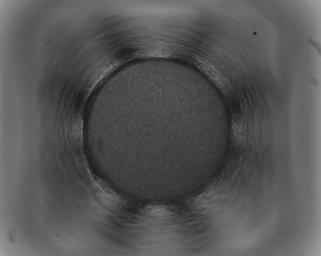 X0000091480534200708231402