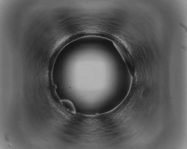 X0000091480535200708231402