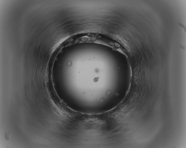 X0000091480536200708231402