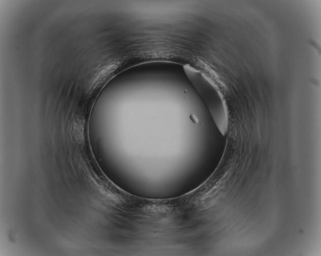 X0000091480537200708231402