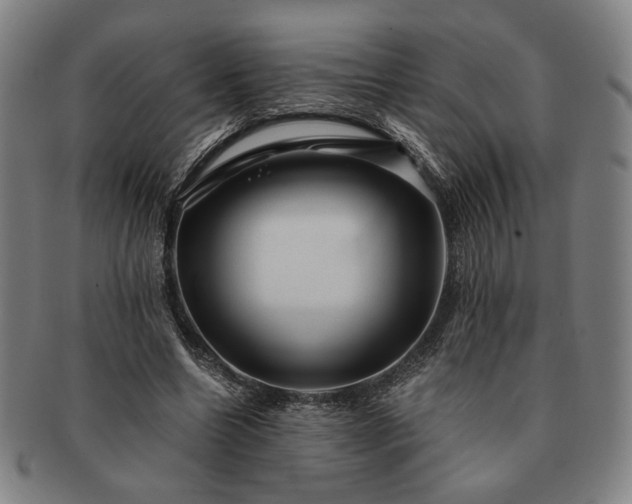 X0000091480538200708231402