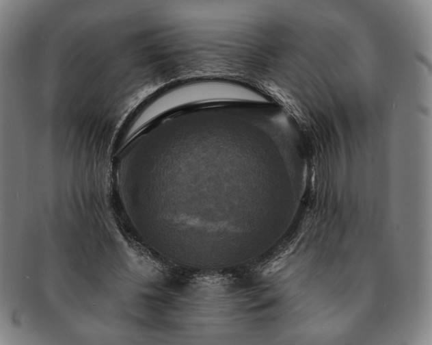 X0000091480540200708231402