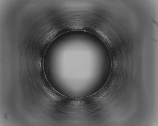 X0000091480541200708231402