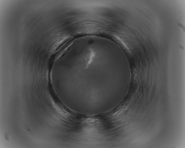 X0000091480542200708231402